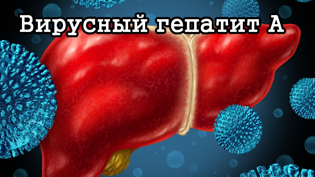 Вирусный гепатит А. - Новости и объявления - 32-я городская клиническая  поликлиника